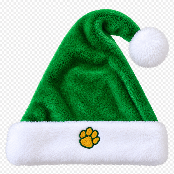 Embroidered Santa Hat
