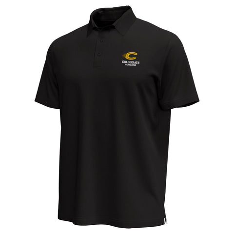 UA  Mens All Day Polo