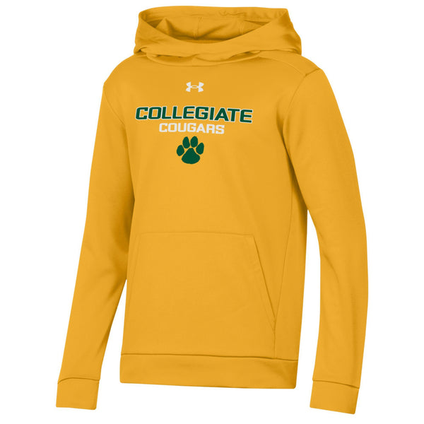 Under Armour Youth Performance Hoodie