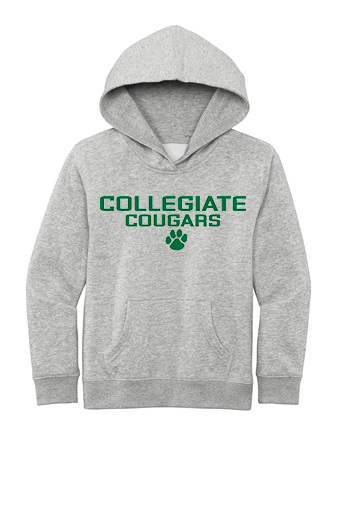 District Youth Hoodie