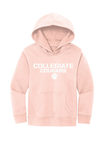 District Youth Hoodie